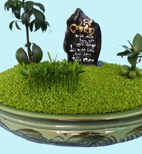 Cây cẩm thạch