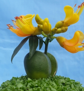 CÂY CẨM THẠCH