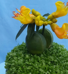 CÂY CẨM THẠCH