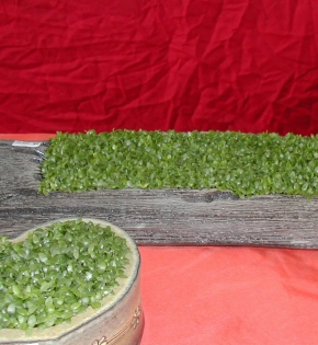 CÂY MAY MẮN