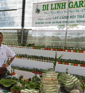 CÂY TỔNG QUAN