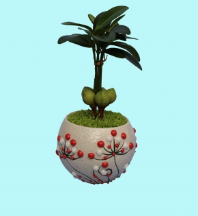 CÂY TÀI LỘC