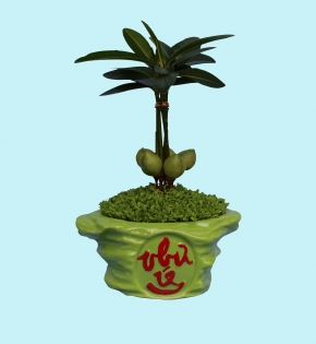 CÂY TÀI LỘC