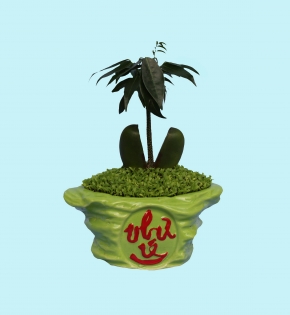 CÂY CẨM THẠCH