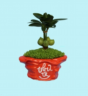 CÂY TÀI LỘC