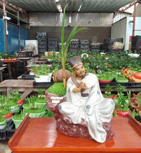 CÂY DỪA