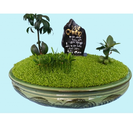 Cây cẩm thạch