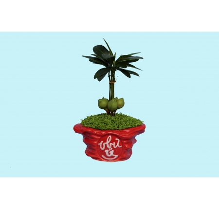 CÂY TÀI LỘC
