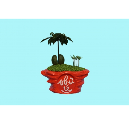 CÂY CẨM THẠCH