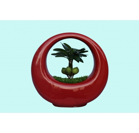CÂY TÀI LỘC